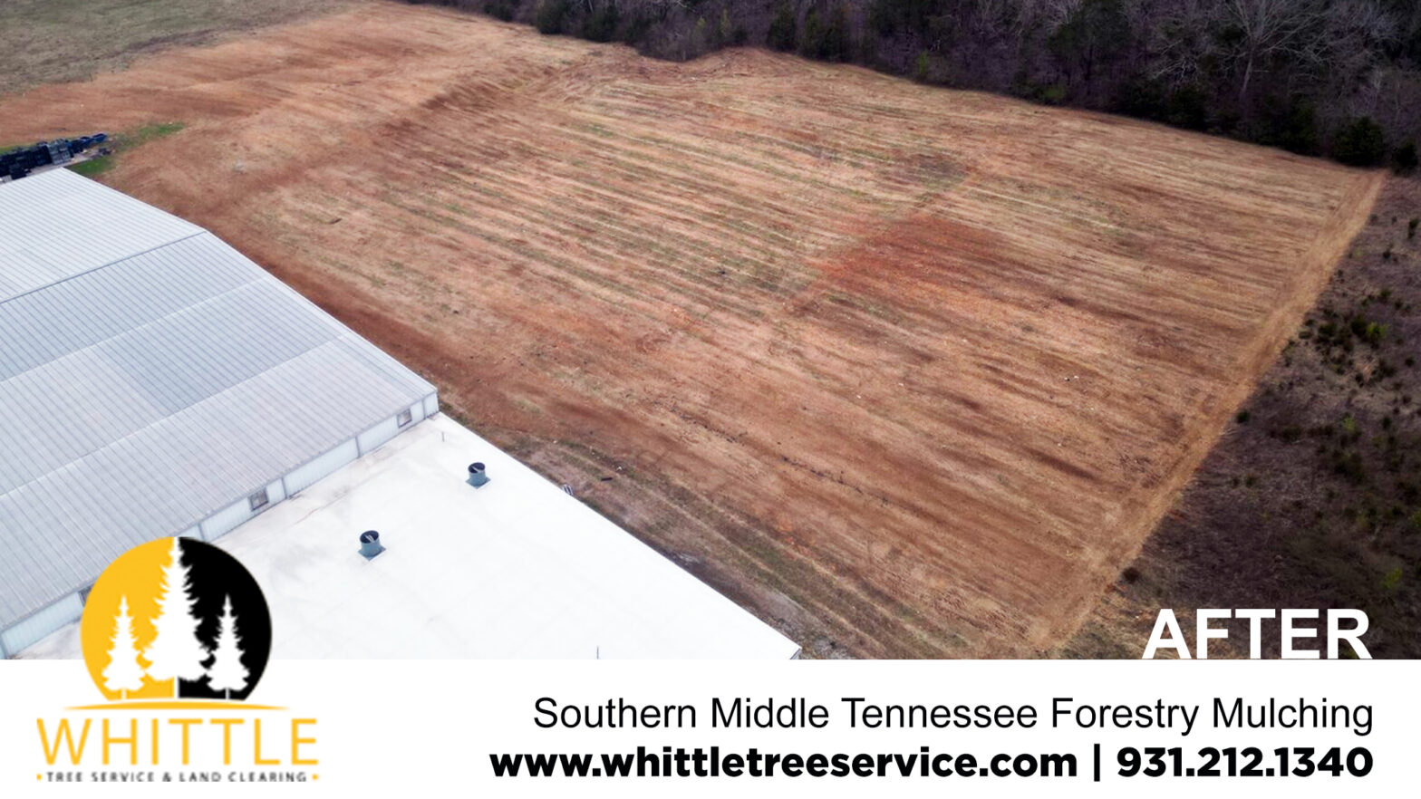 Southern Middle Tennessee Forestry Mulching