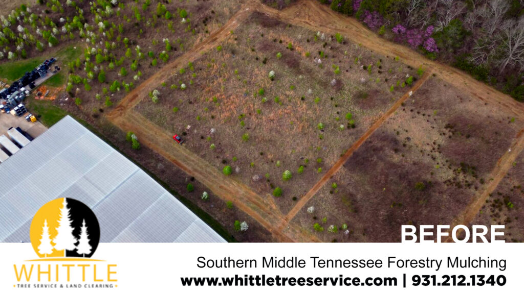 Southern Middle Tennessee Forestry Mulching