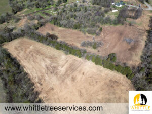 Land Clearing Companies