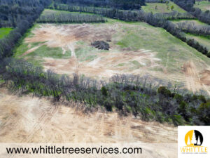 Land Clearing