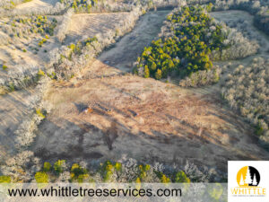 Land Clearing In Lewisburg