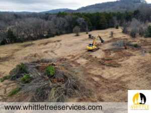 Land Clearing In Lewisburg